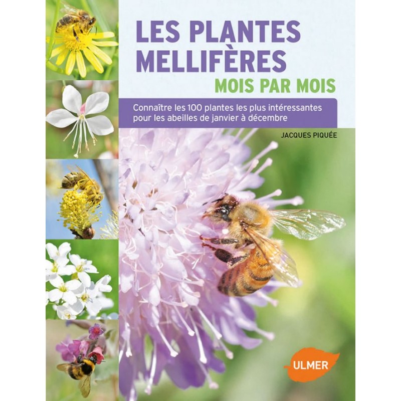 PLANTES MELLIFERES