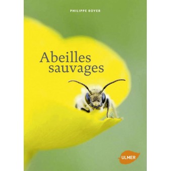 ABEILLES  SAUVAGES