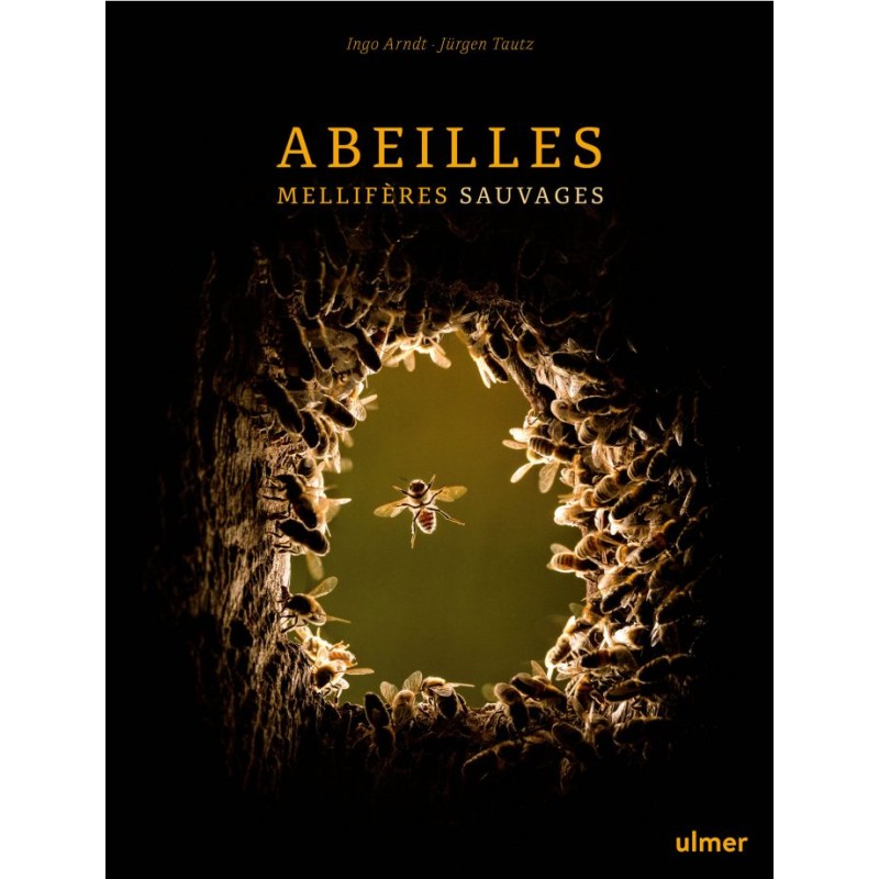 ABEILLES MELLIFERES SAUVAGES