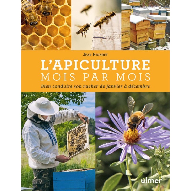 L'APICULTURE MOIS PAR MOIS  Riondet (Ed. Ulmer)