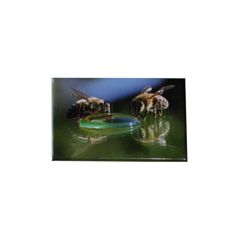 Magnet "abeilles sur bulle" 53*78mm