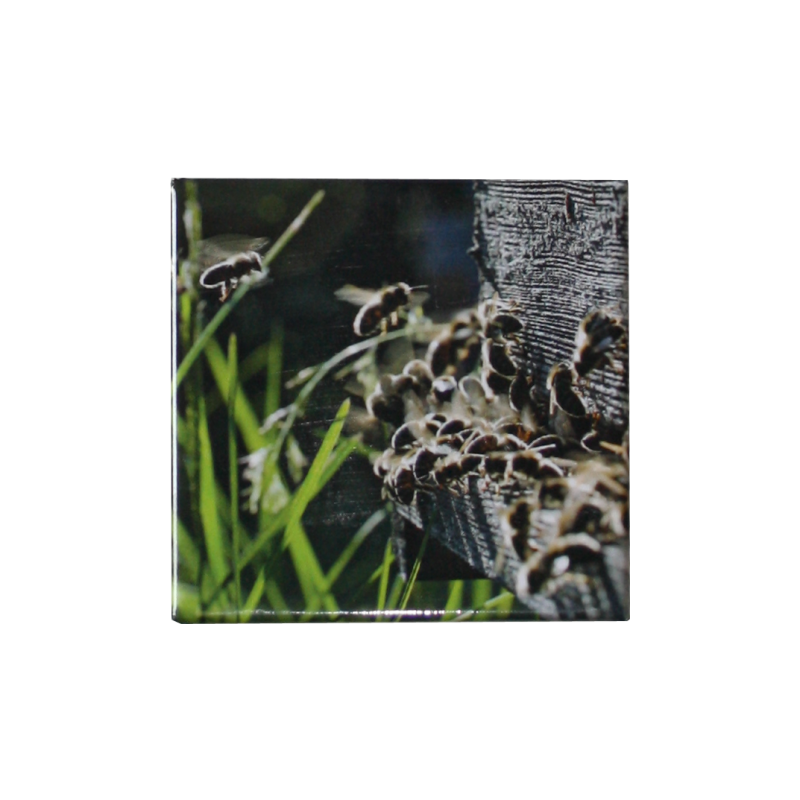 Magnet "au trou de vol" 65*65mm