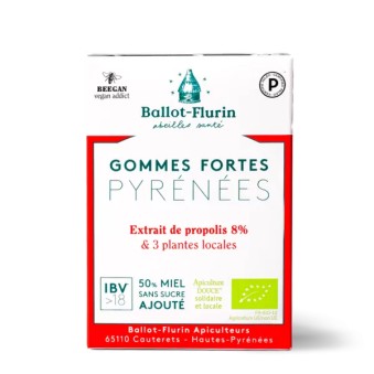 Gomme forte Pyrénées