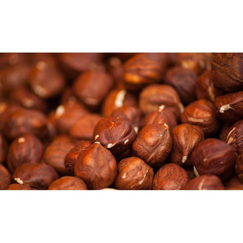 Miel et Noisettes - Atelier des abeilles