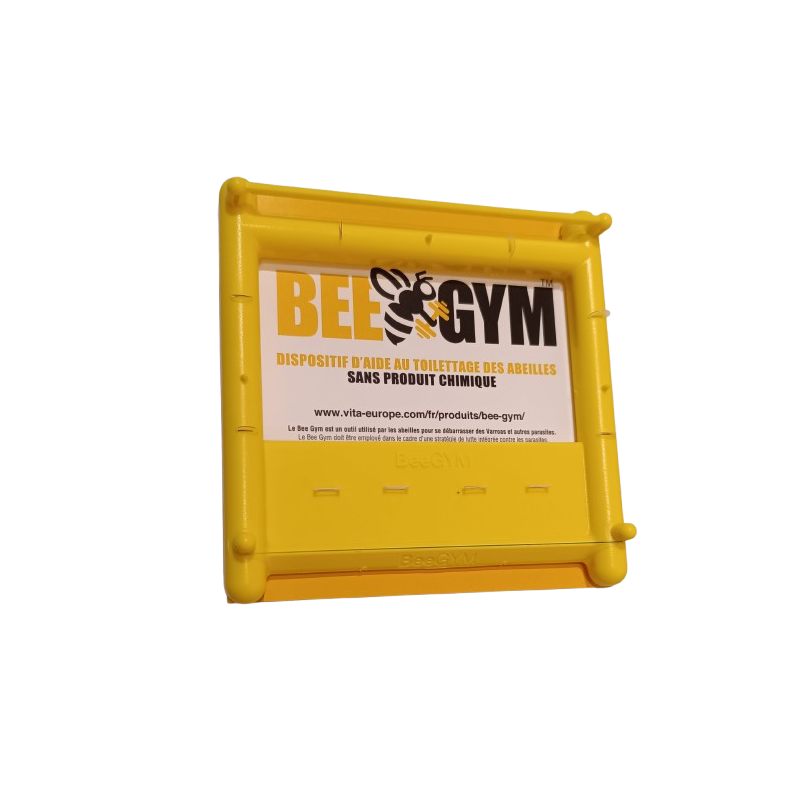 Bee gym
