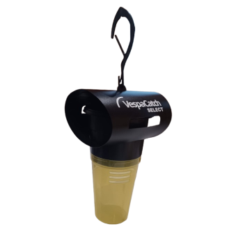 Piège sélectif vespacatch