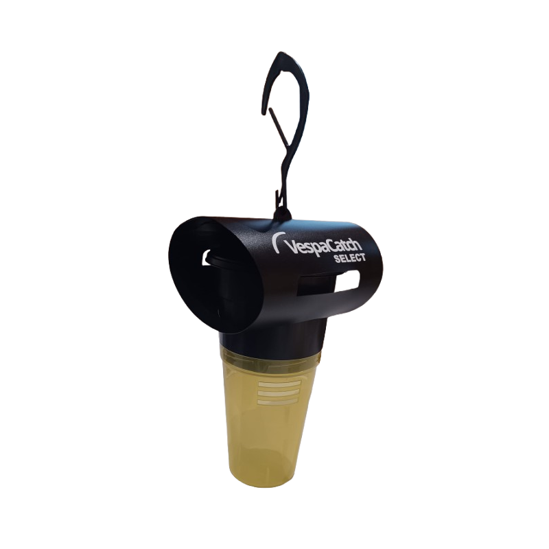 Piège sélectif vespacatch